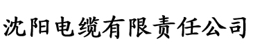 亚洲天堂网站在线电缆厂logo